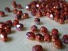 Red Coral Bronze Vega Red Coral Bronze Vega