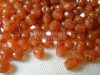 Terrecotta Opal Terrecotta Opal